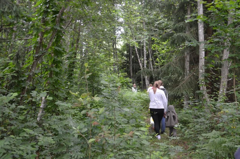 Hiking trail at Kõveri Holiday Centre