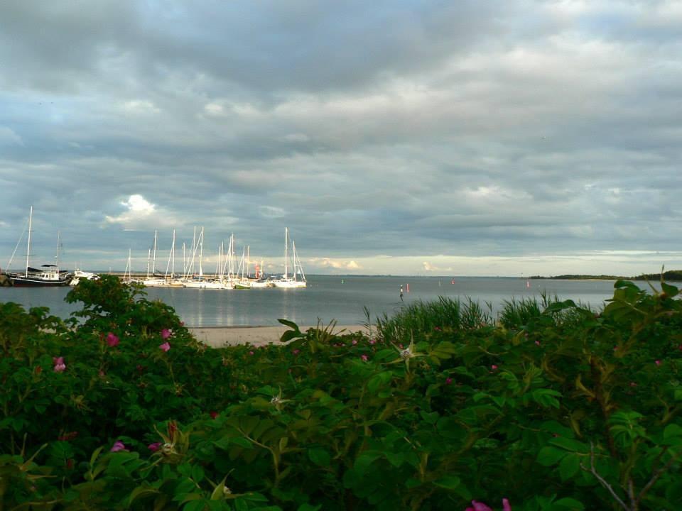 RMK Central hiking trail on the Island of Naissaar