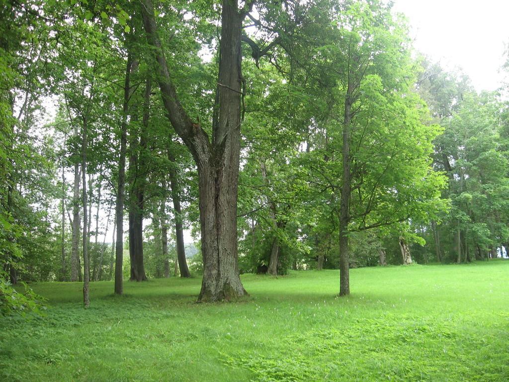 Luunja Manor Park