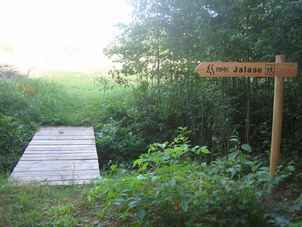 RMK Jalase nature trail in the Jalase landscape protection area in Rapla County