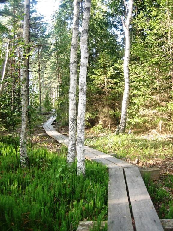 RMK Jalase nature trail in the Jalase landscape protection area in Rapla County