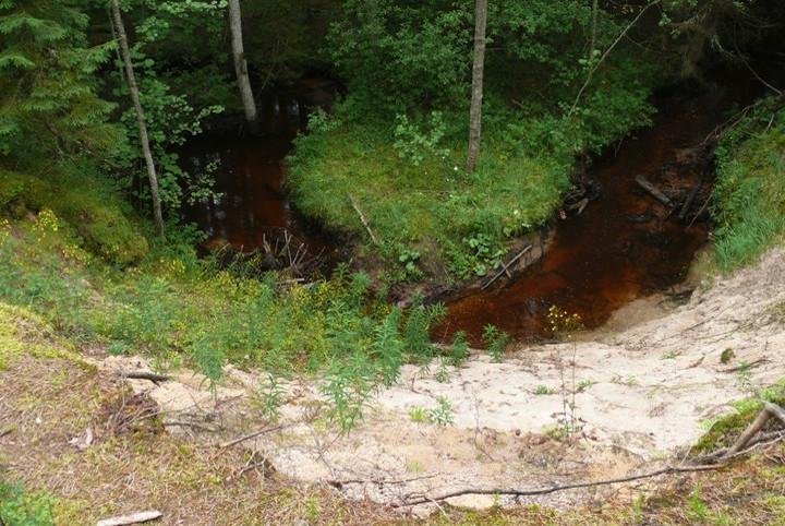 Vanajõe valley study trail