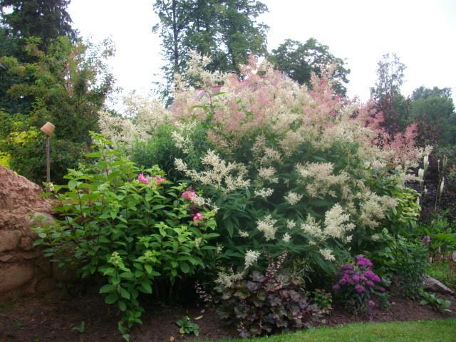 Der Garten auf dem Bauernhof Mikko