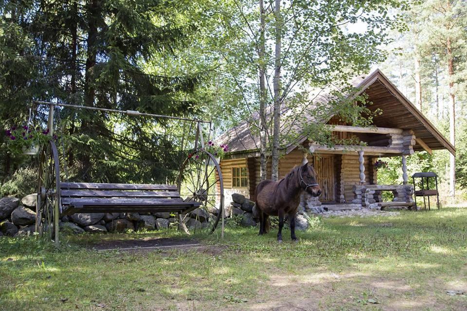 Söesauna Talu majutus