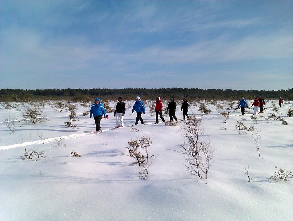 Seikle Vabaks bog-shoe hike to Toonoja swamp island in the Soomaa National Park