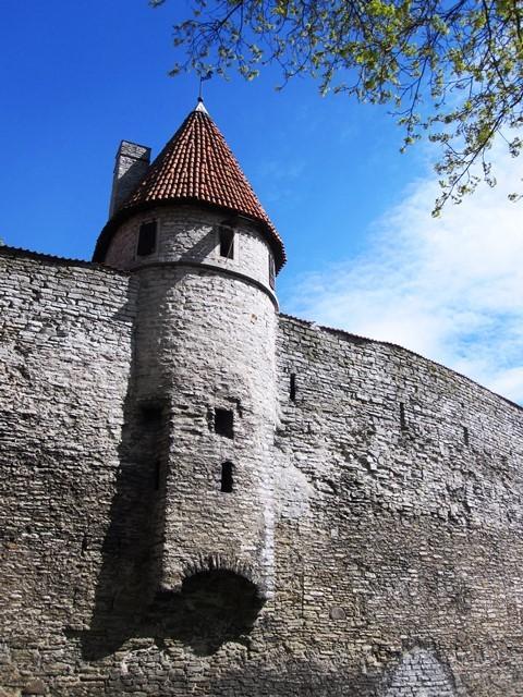 Tallinner Stadtmauer