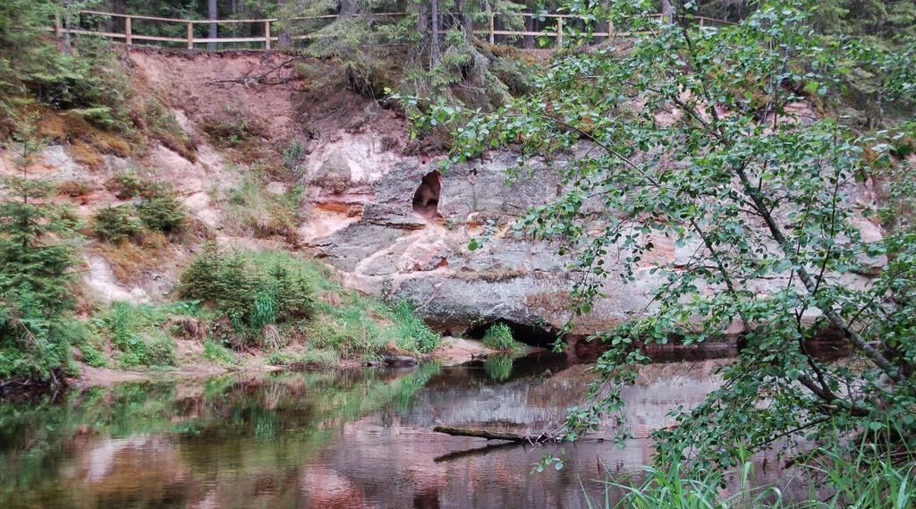 Skrejriteņi Taevaskojas Salamā