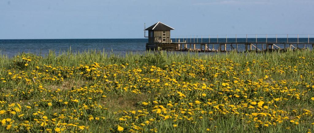 Kaavin metsästysmajan lomatalot