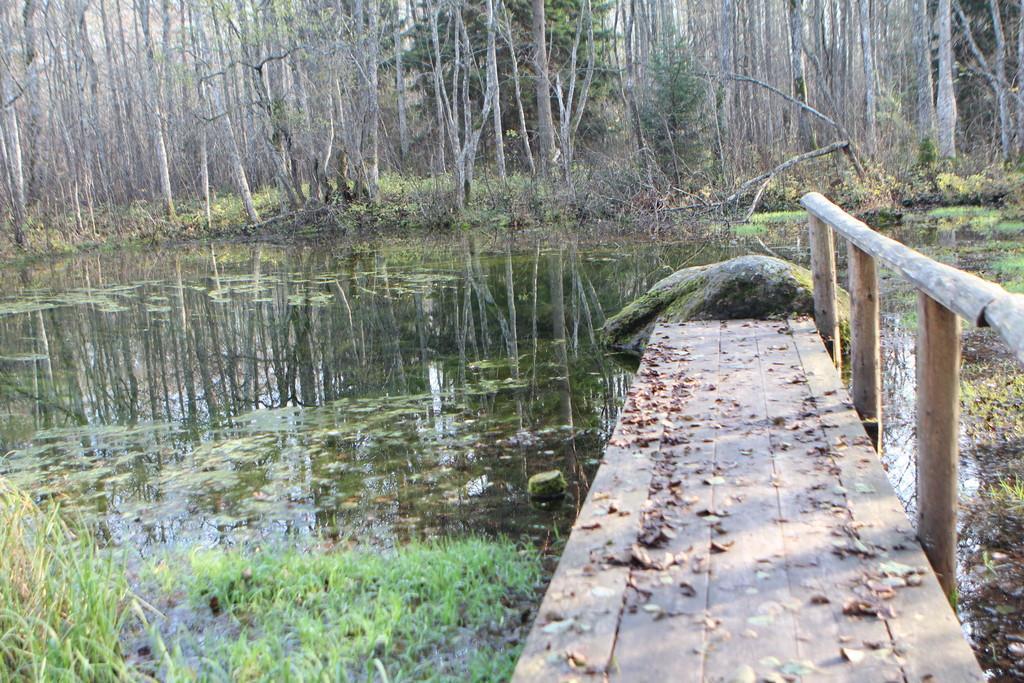 Prästviken järven vaellusreitti