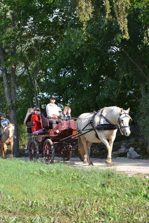 Horse trips to the land of fairies - on a sleigh, a carriage or on horseback