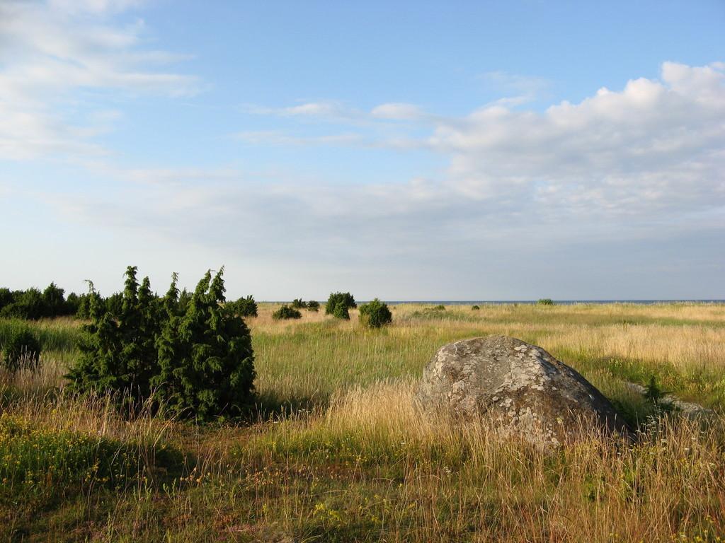 Vormsi maastikukaitseala