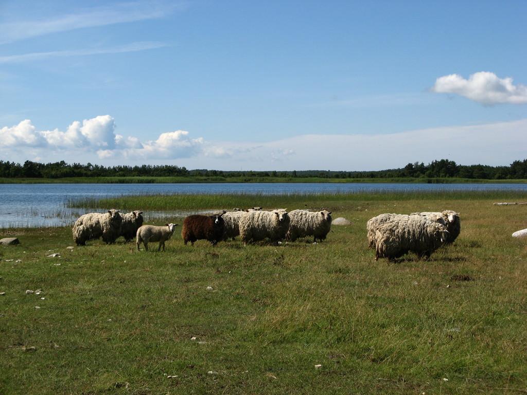 Vormsi maastikukaitseala