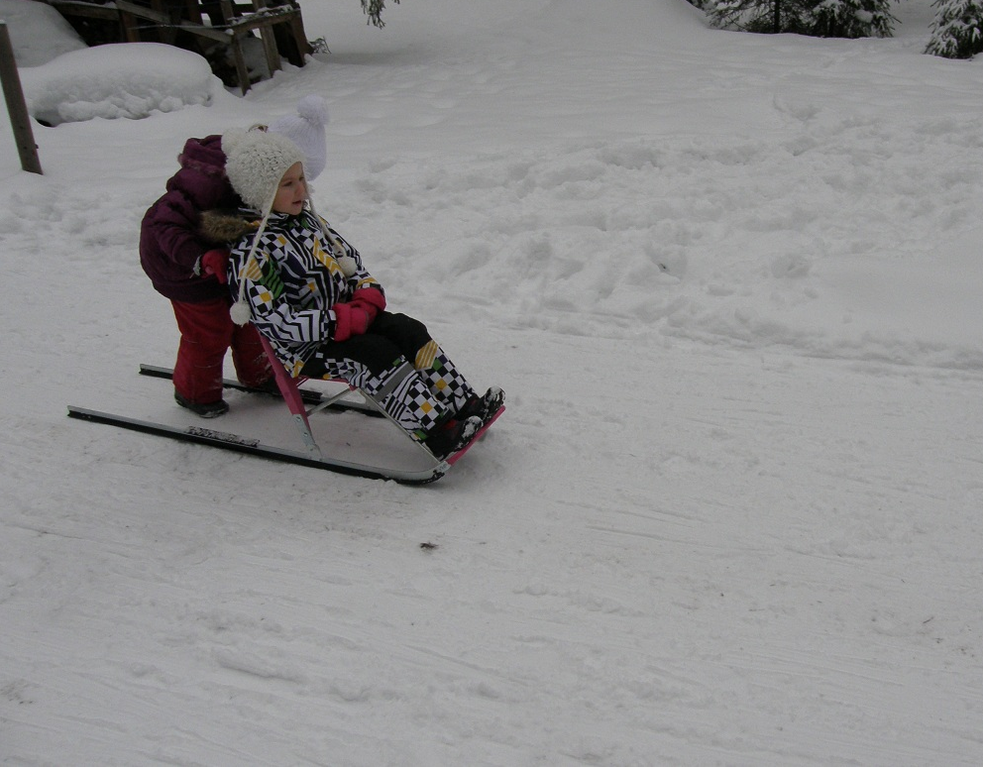 Kick-sled rent at Salamaa in Taevaskoda