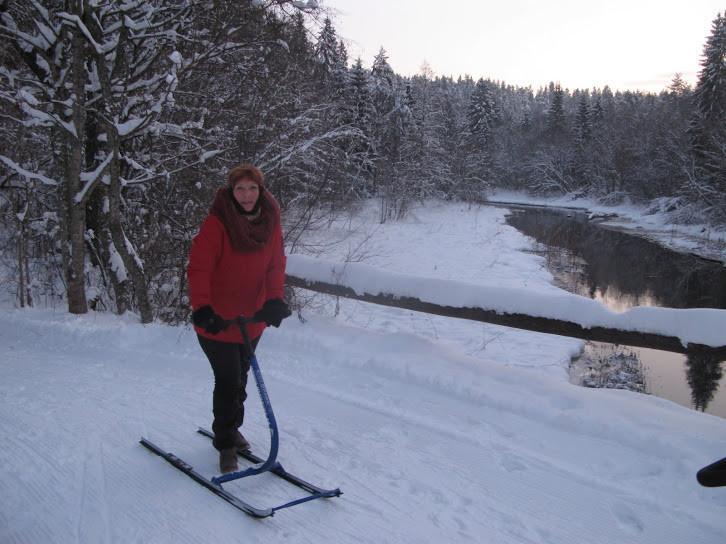 Kick-sled rent at Salamaa in Taevaskoda