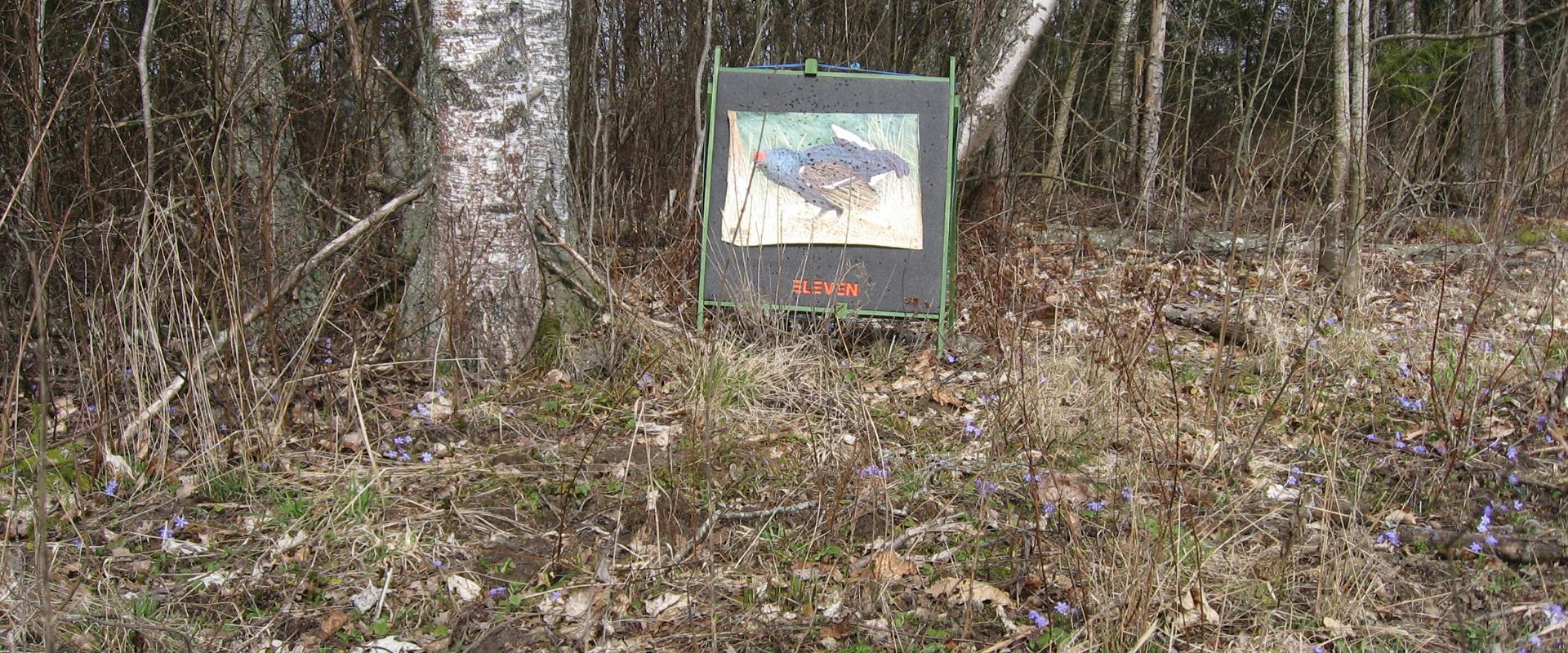 Adventure on the archery track in Rüütli Farm