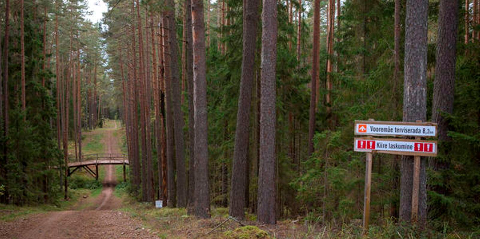 Vooremäe Tervisespordikeskuse terviserajad, kiire laskumine