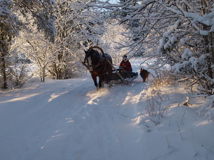 Sleigh and sledge rides at Juurimaa Stable for families and groups