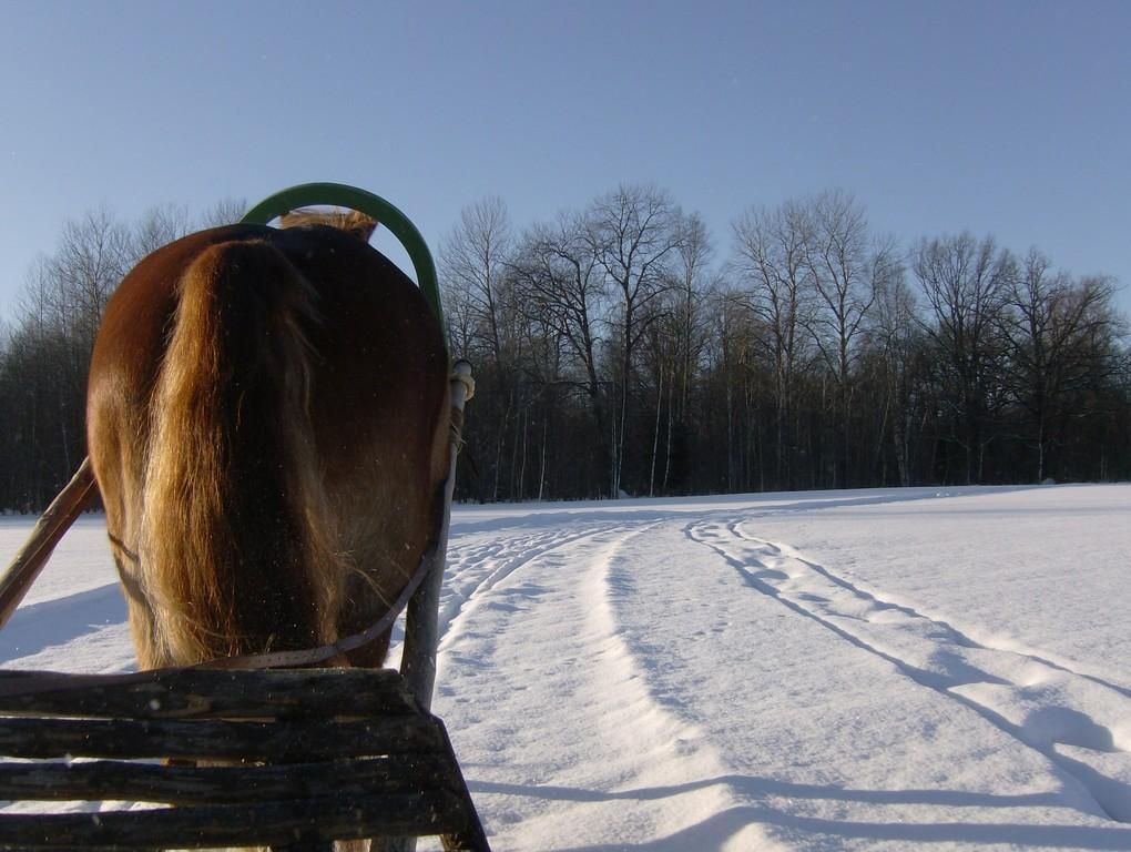 Sleigh and sledge rides at Juurimaa Stable for families and groups