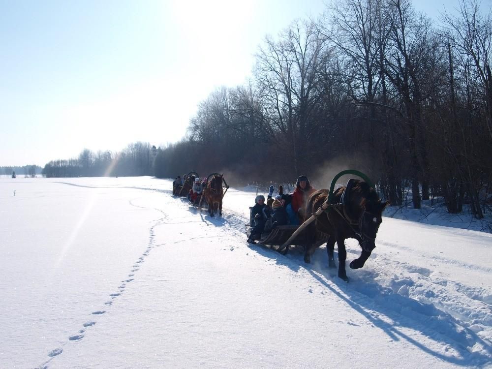 Sleigh and sledge rides at Juurimaa Stable for families and groups