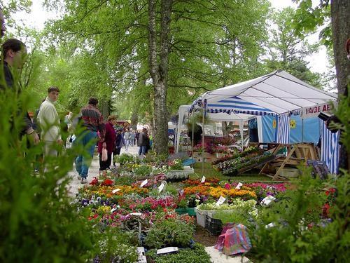 Aia- ja Lillepäevad Jänedal