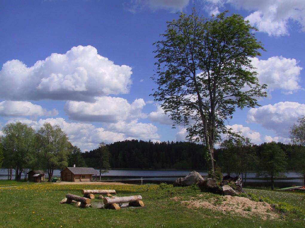 Käärikun urheilukeskuksen Kekkosen sauna