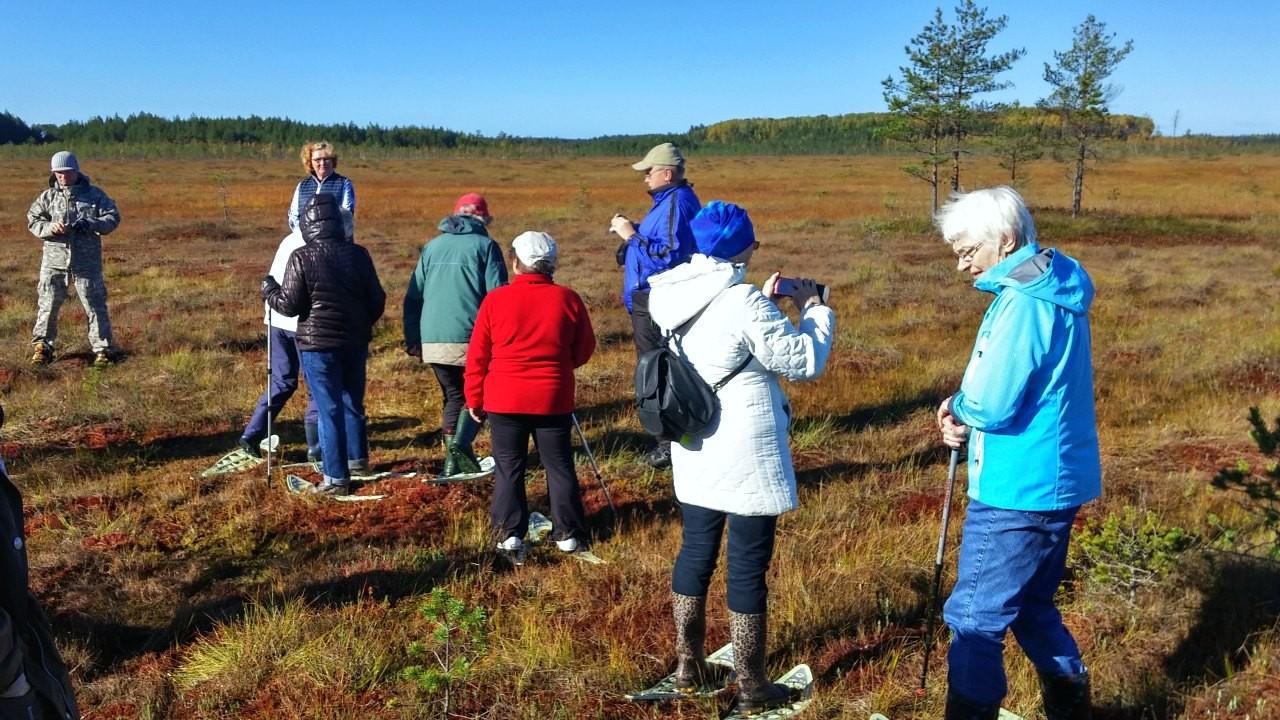 Suokenkäretket Etelä-Virossa Meenikunnon rämeellä