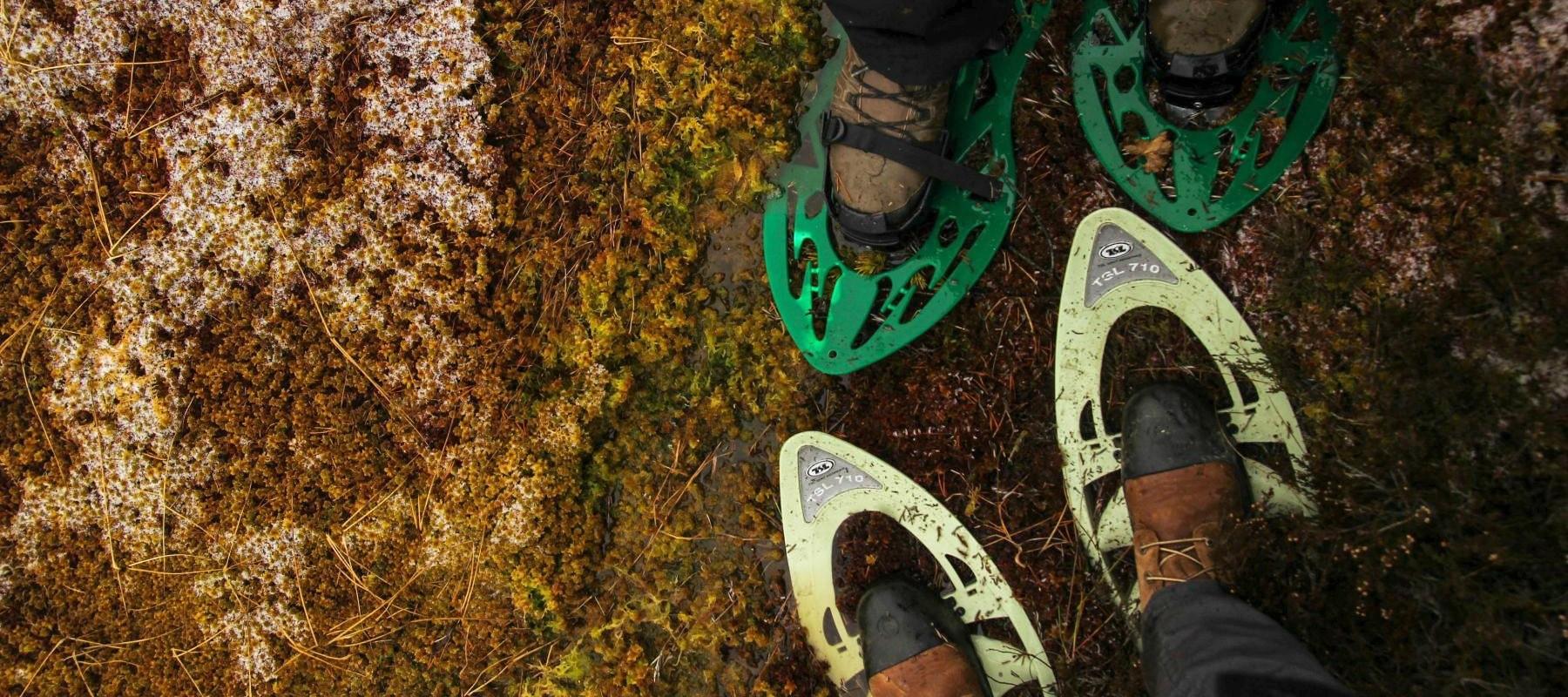 Moorschuhwanderungen im Hochmoor Meenikunno in Südestland