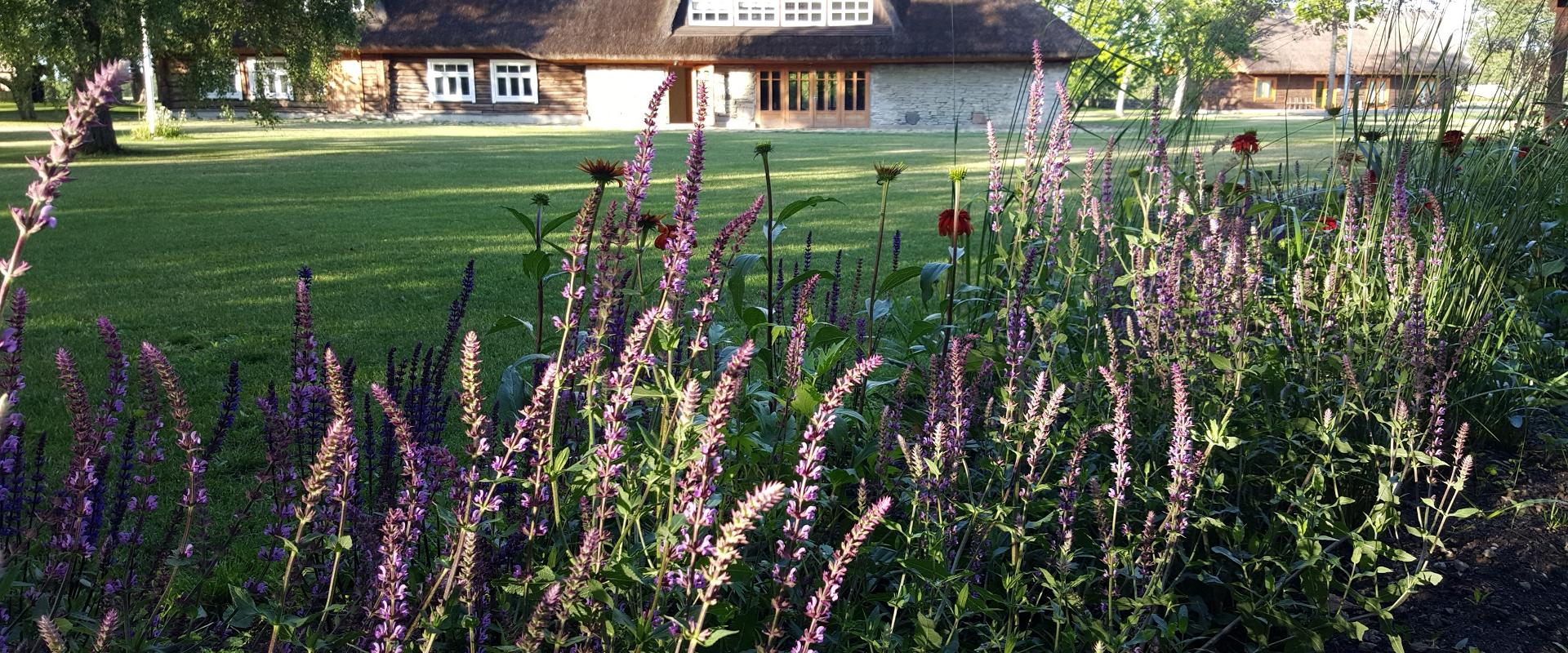 Nässuma Holiday Centre, Pulga Farm