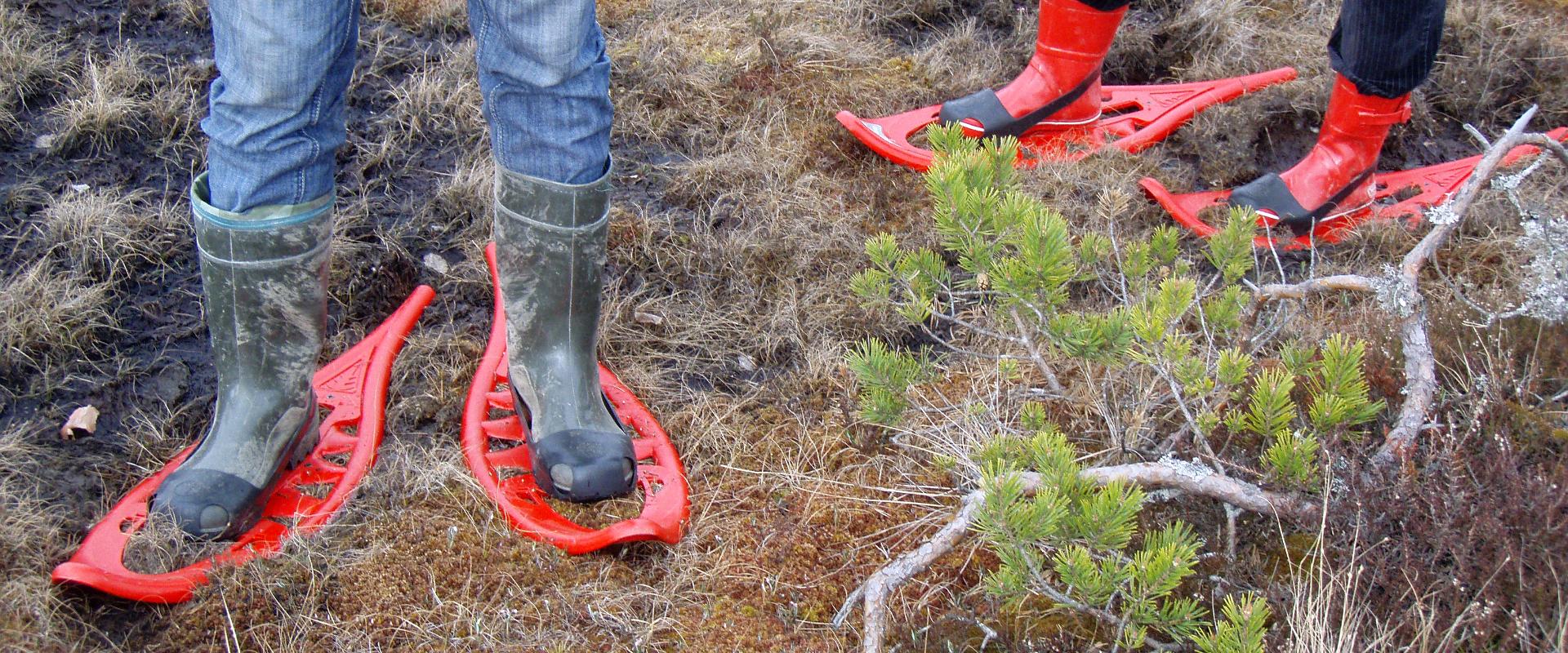 Seikle Vabaks bog-shoe hike to Toonoja swamp island in the Soomaa National Park