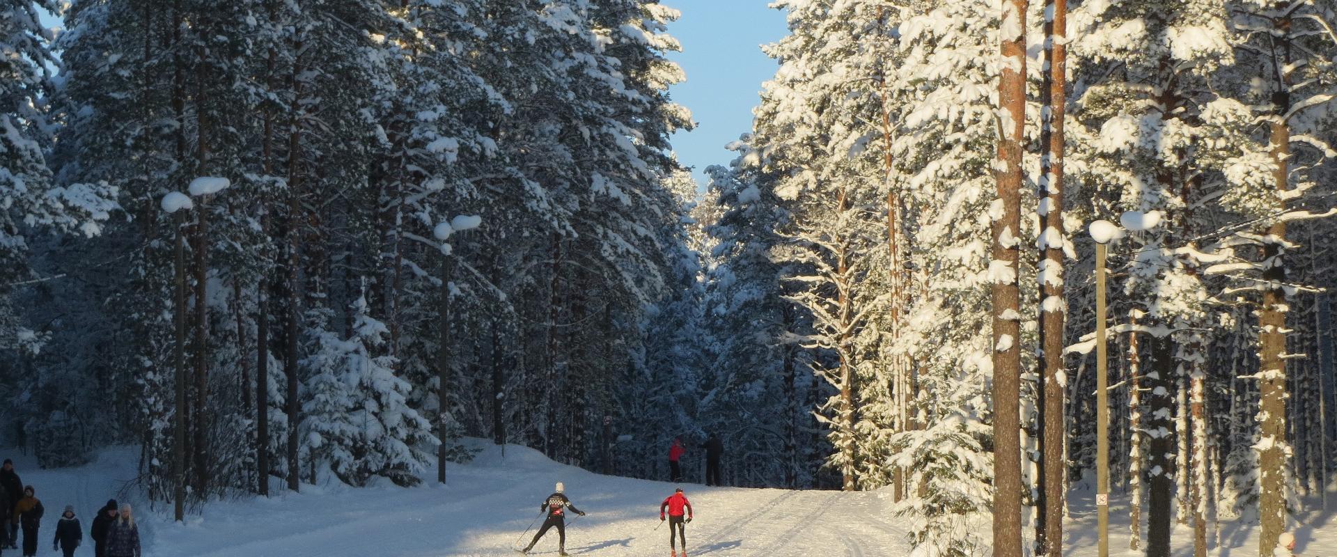 The Alutaguse health and sports centre is situated close to Pannjärve in the Kurtna lakelands. The surrounding forests have trails measuring 1, 2, 3, 