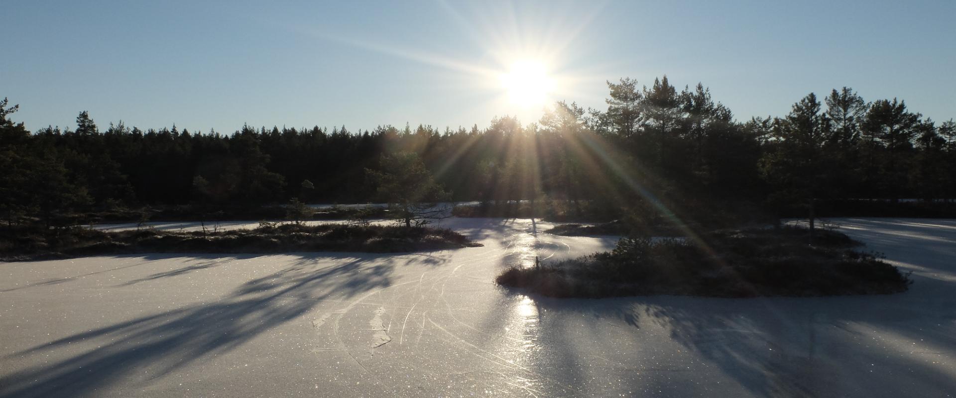 Schlittschuh-wanderungen in Kõrvemaa