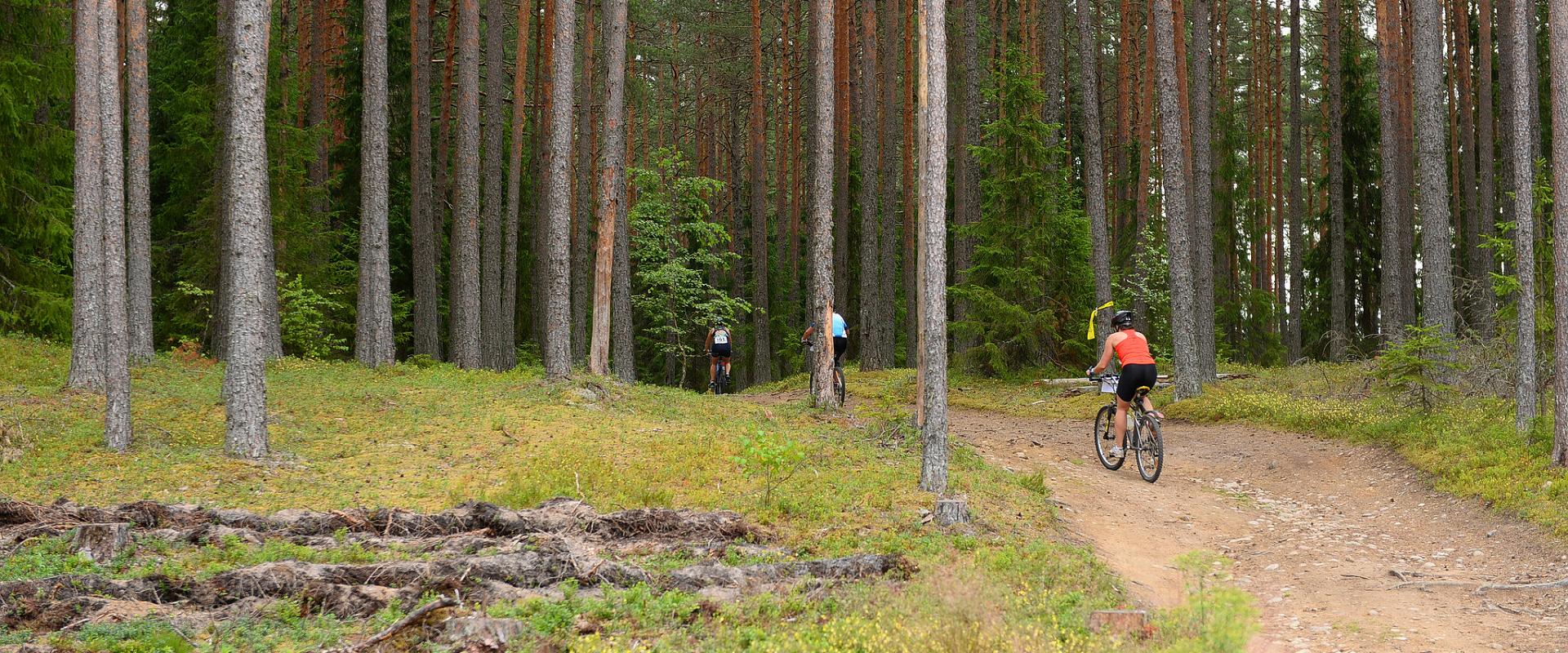 Võsu-Nõmmeveski hiking trail