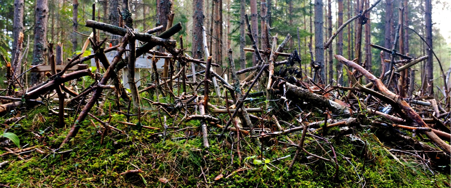 Hill of Crosses