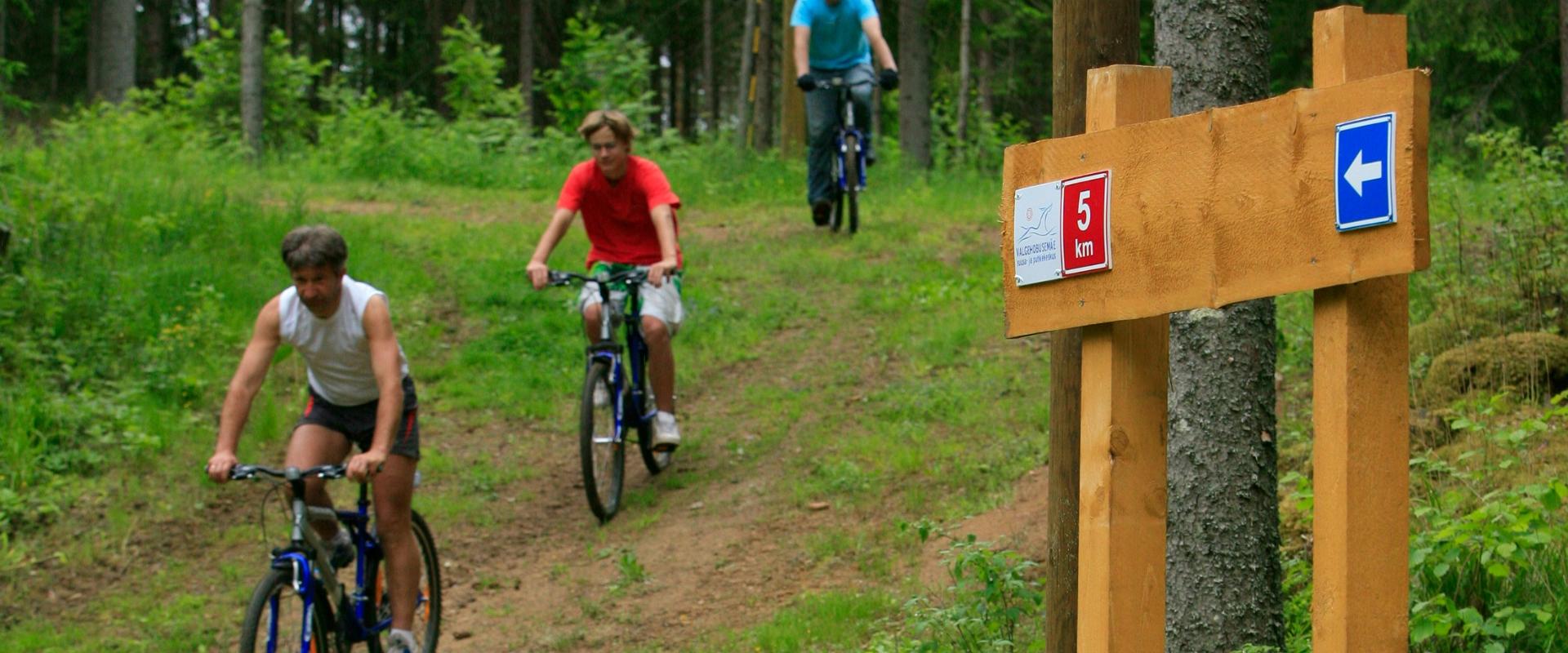 Valgehobusemäe Bike Trail