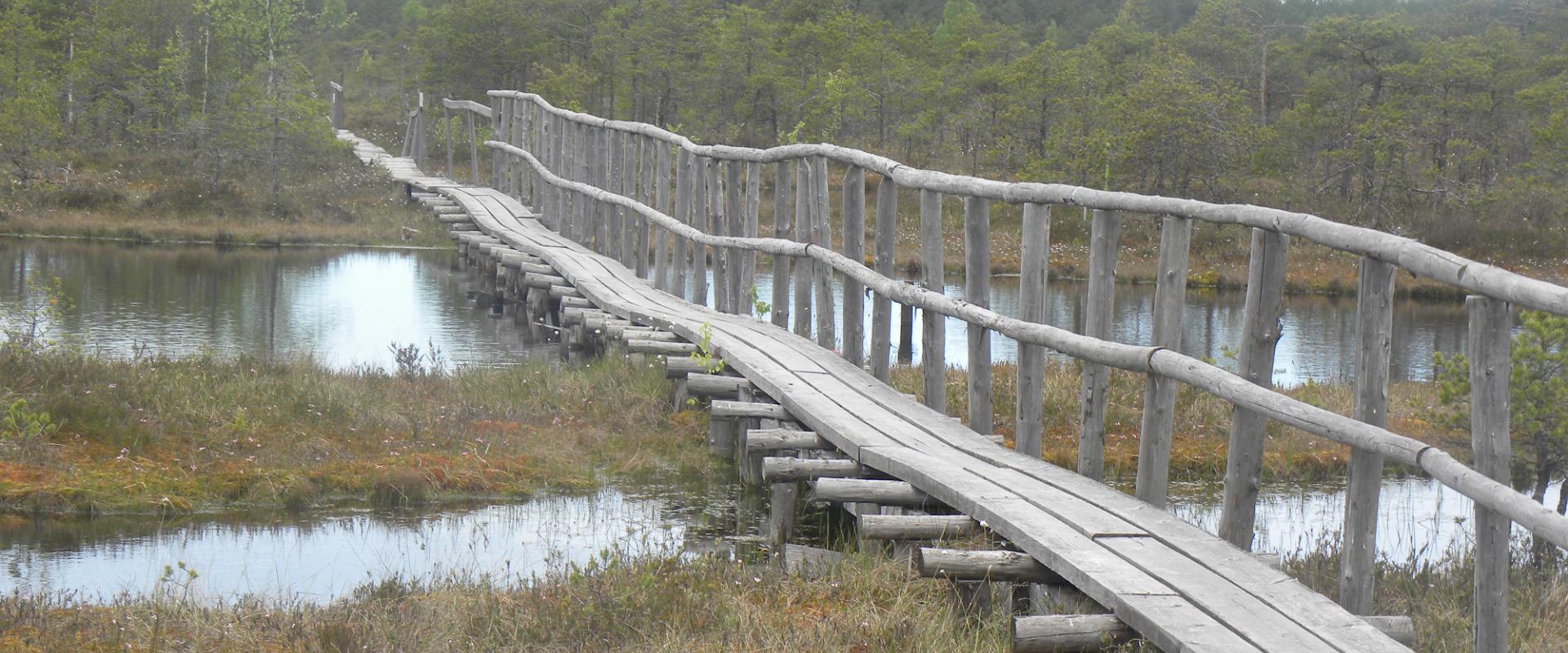 Study trail of the Männikjärv bog