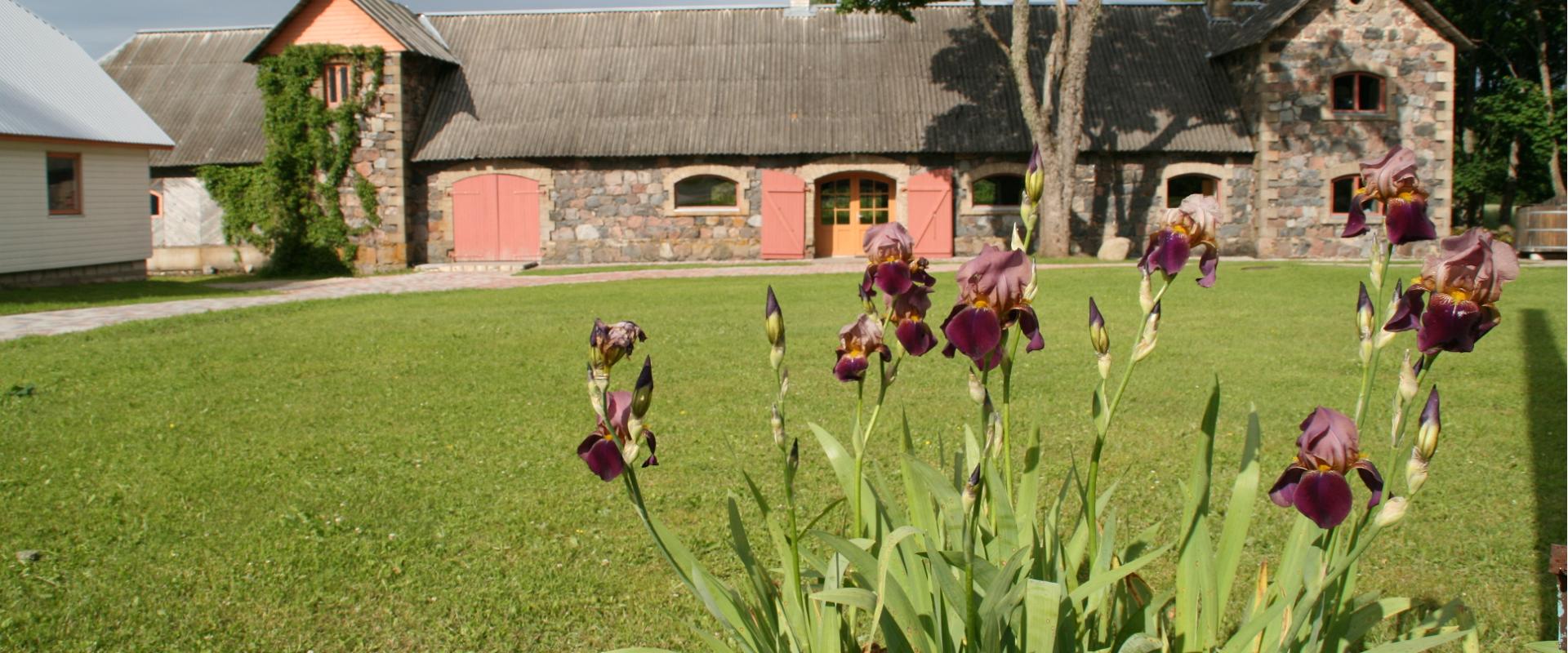 Aru-Lepiku Tourist Farm