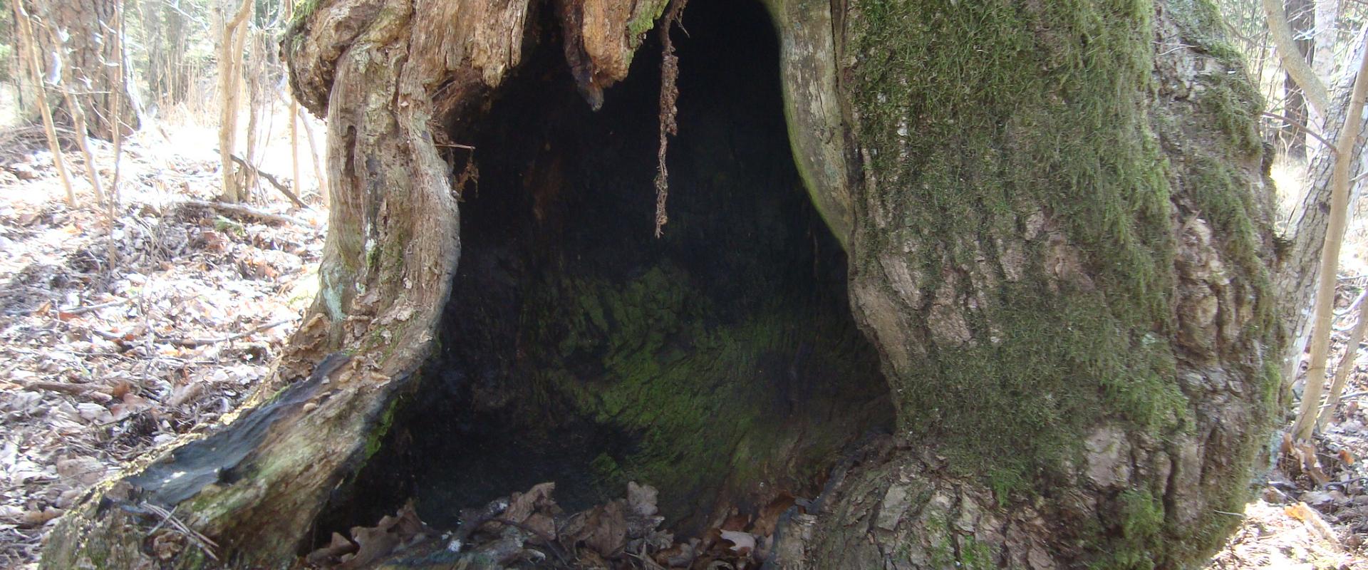 Nõiduslik koobas Imumäel