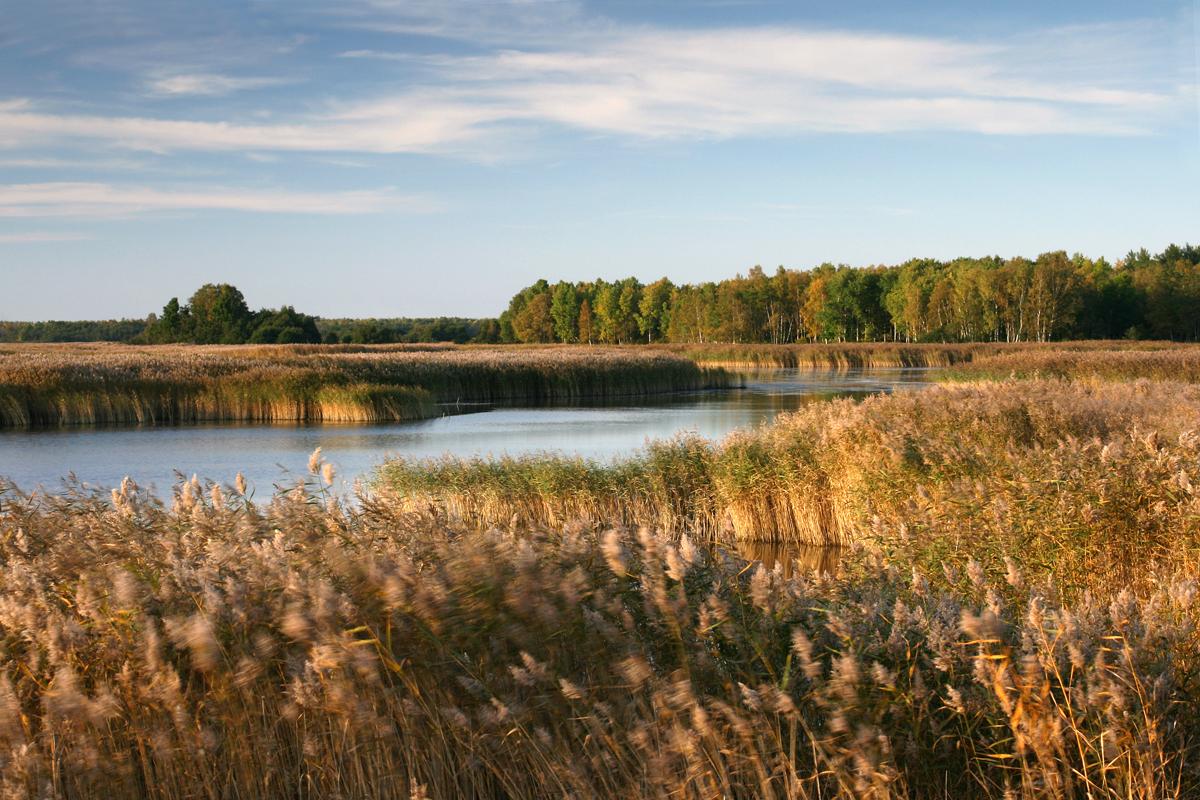 Laelatu, vaade raudteetammilt