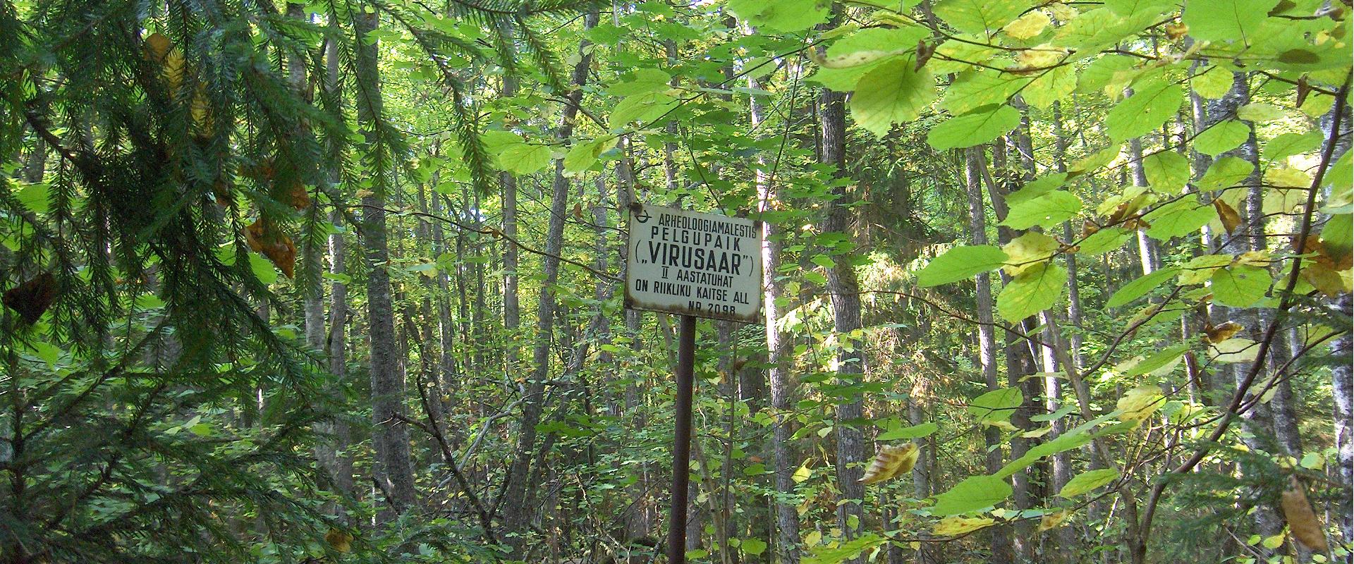Virussaare räätsadega rabamatk ennemuistsetel radadel