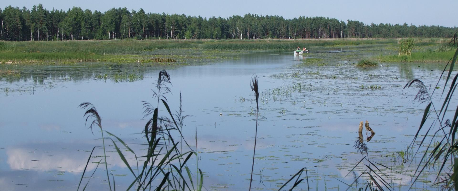 Kanoe braucienu starp Endla purvā