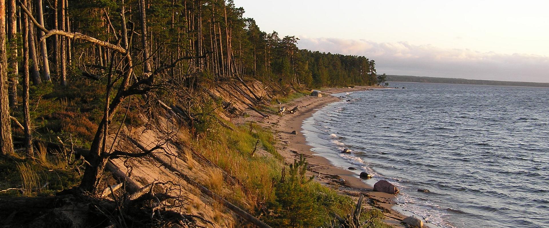 Hikes in the nature of Lahemaa