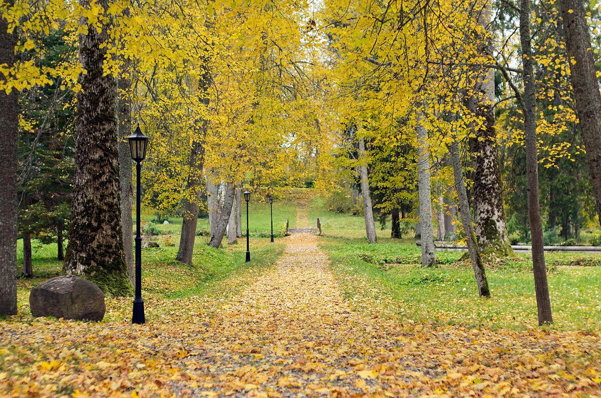 Voltveti (Tihemetsas) muižas parks