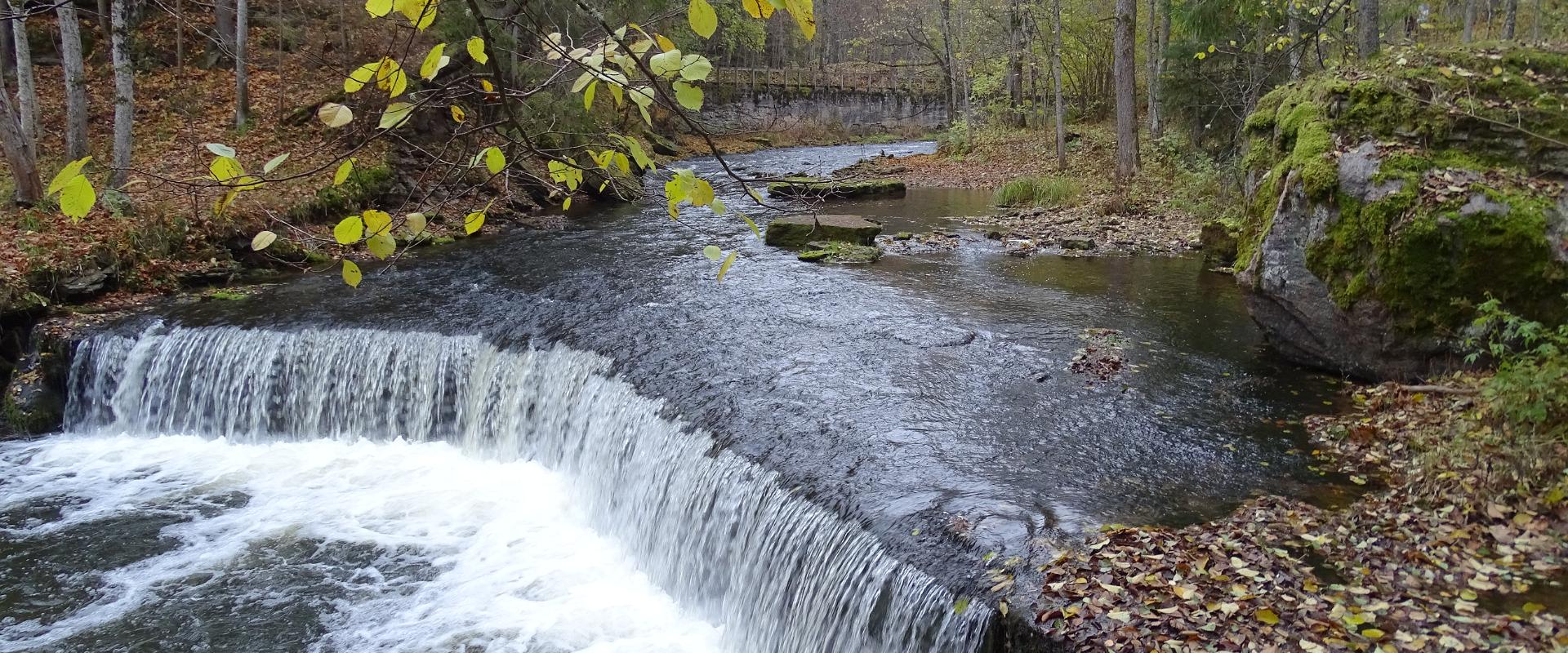 Hikes in the nature of Lahemaa