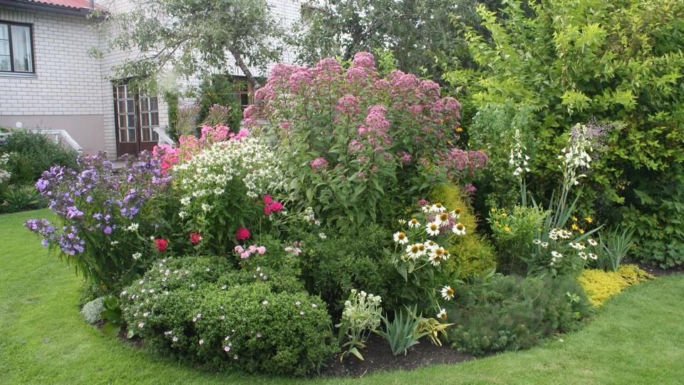 Maie Aed - a colourful home garden near Pärnu