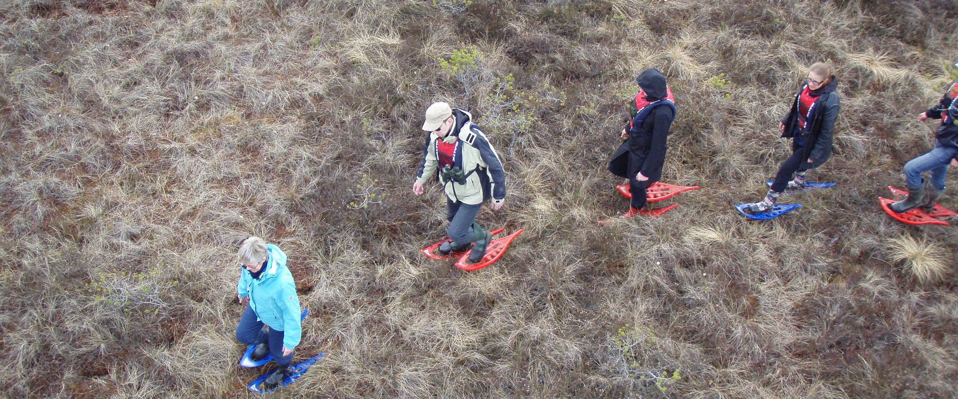 Bogshoeing in Rääma bog by Seikle Vabaks