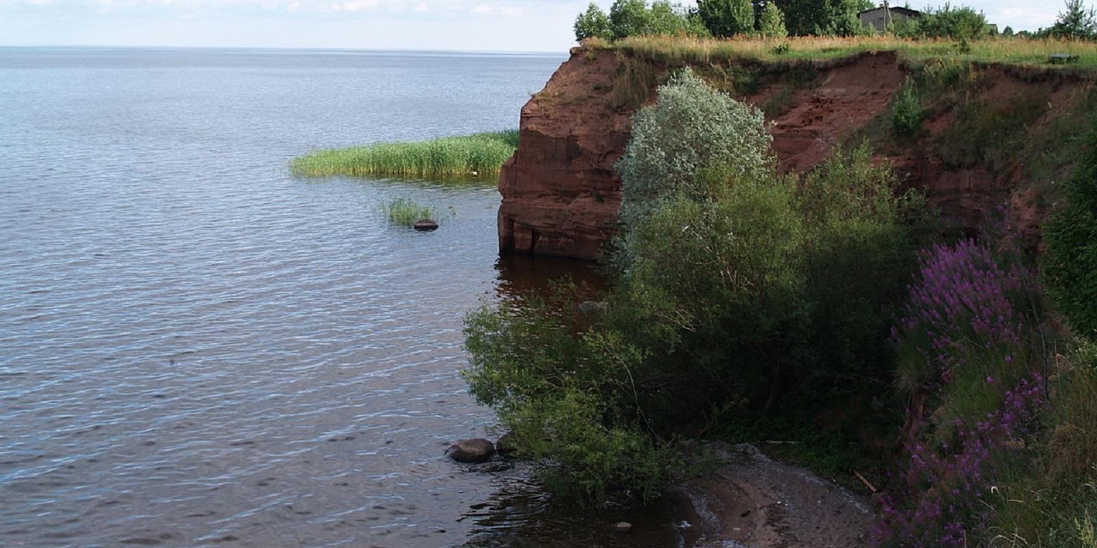 Kallaste outcrop