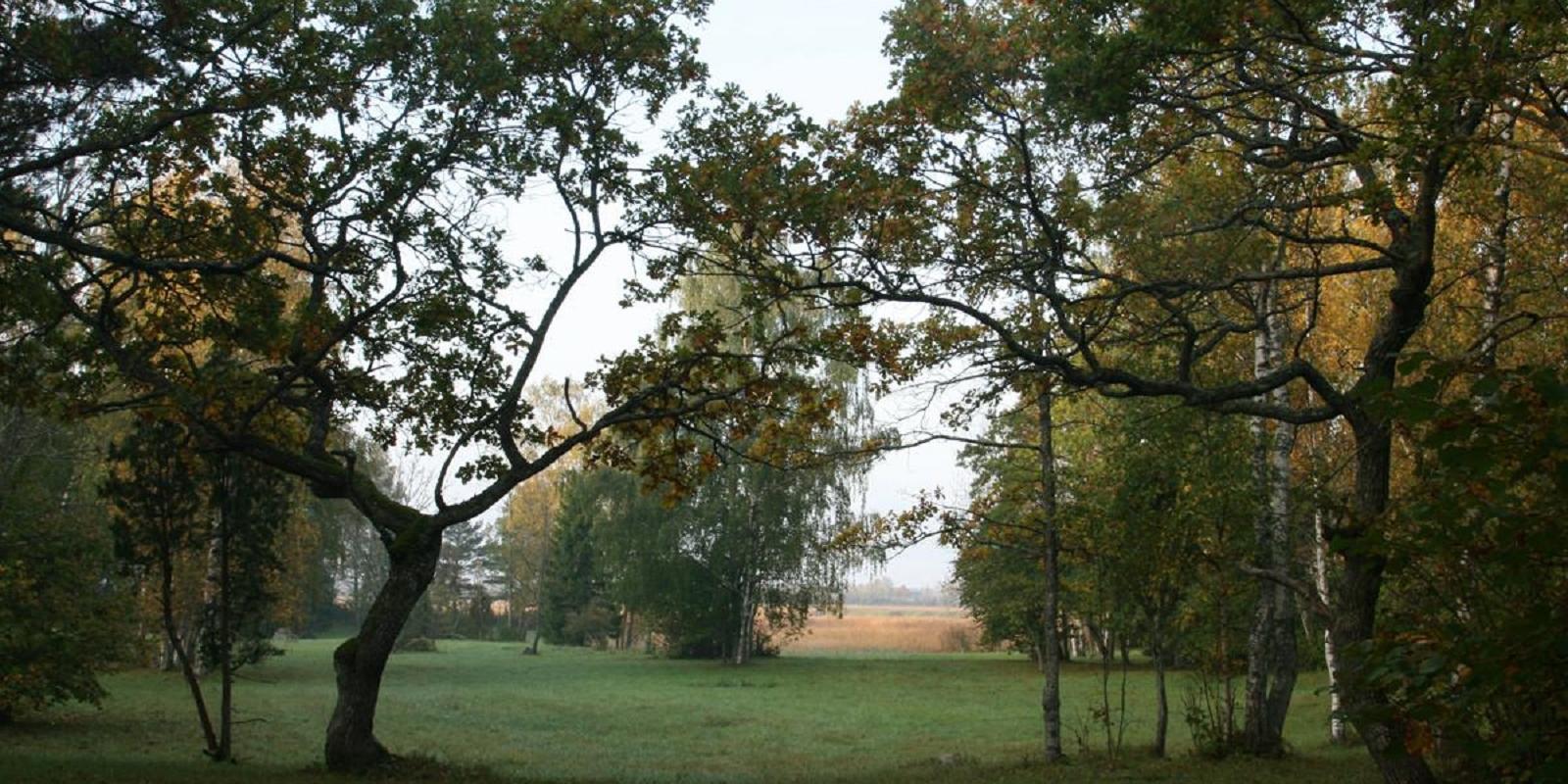 Gehölzwiese Laelatu