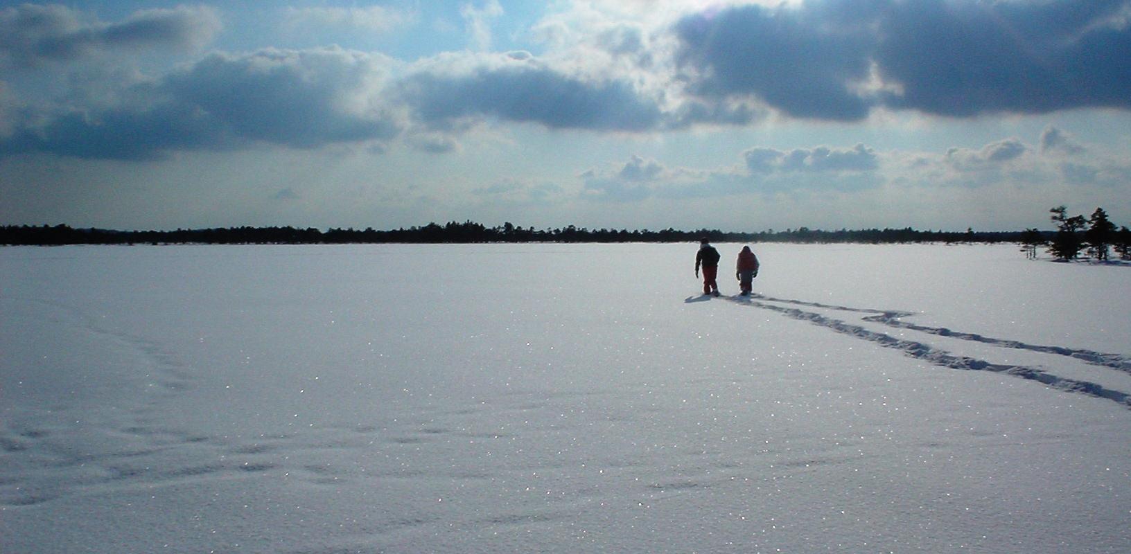 Snowshoes provide the perfect opportunity to take a winter hike in the mires and forests of Estonia, while enjoying the beautiful silence of a snowy f