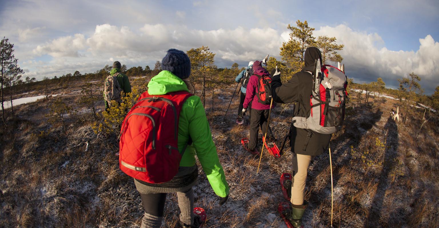 Snowshoe hikes in Marimetsa bog