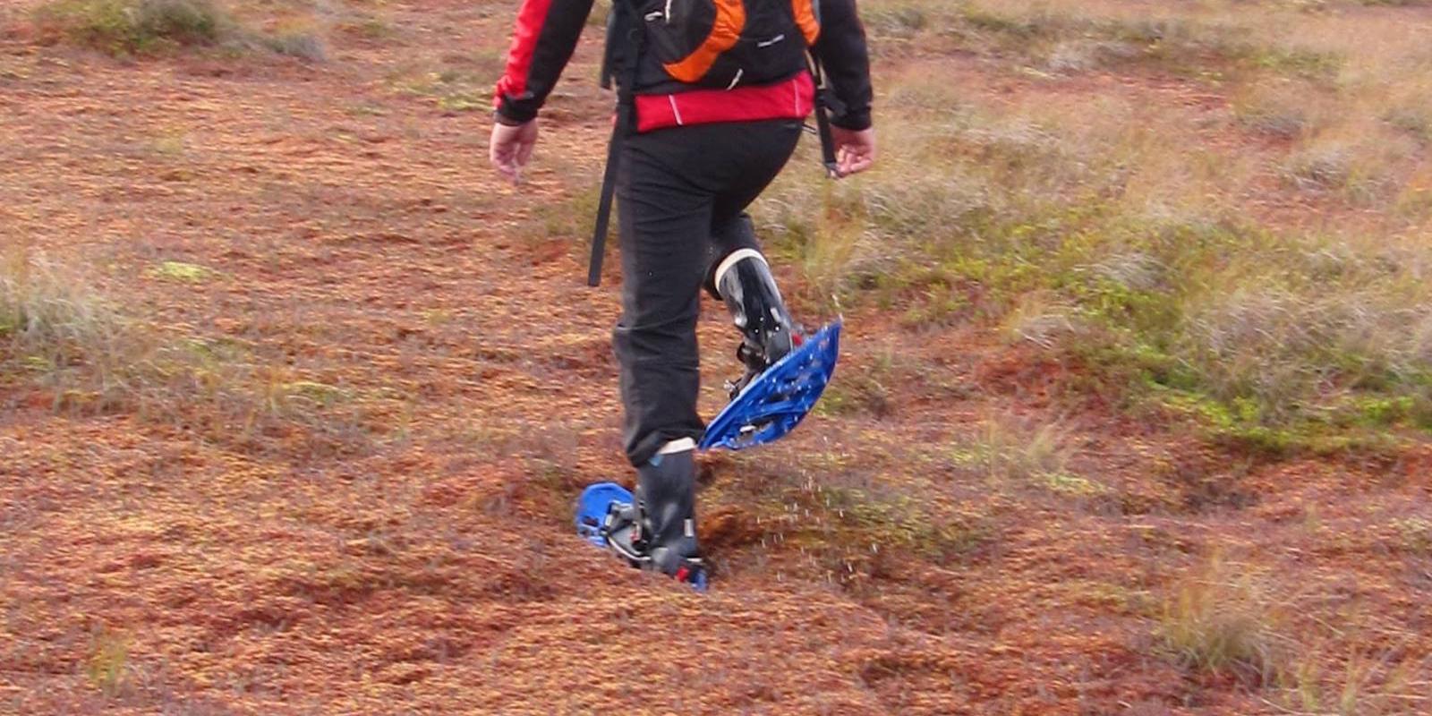 A safari and bogshoe hike in Kakerdaja bog